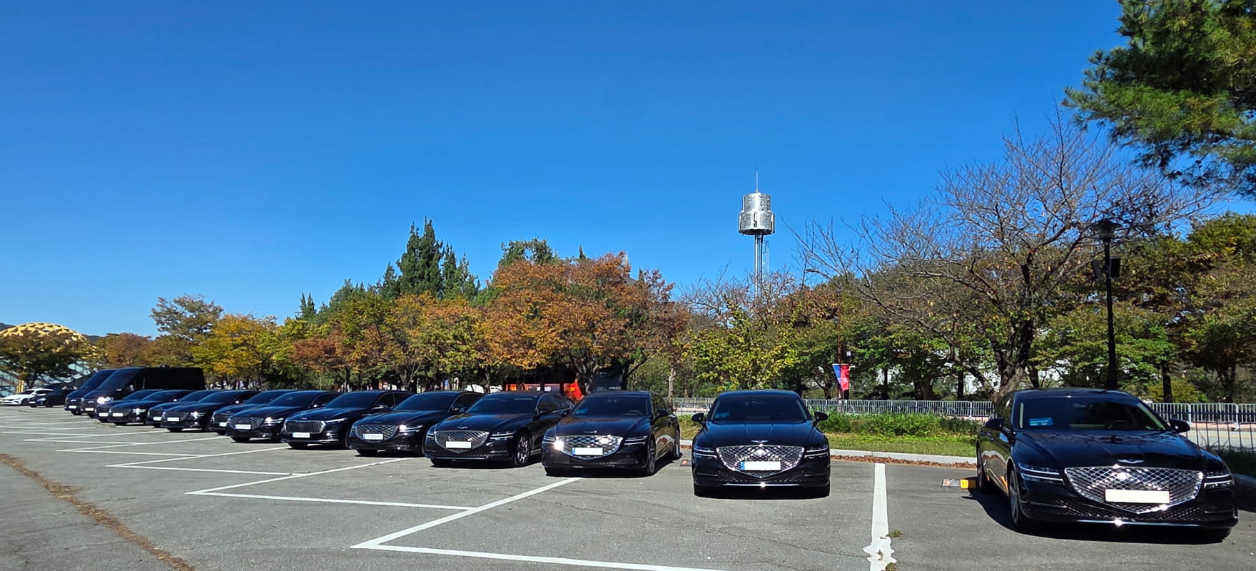 A long row of black Genesis luxury sedans parked in an outdoor lot under a clear blue sky for APEC 2025 Korea protocol service.