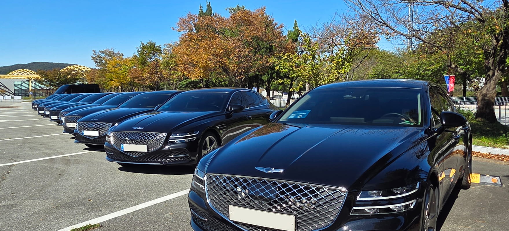 Close-up of black Genesis luxury sedans prepared for delegate transportation at APEC 2025 Korea, with autumn foliage in Gyeongju.